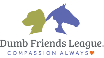 Dumb Friends Foundation Logo